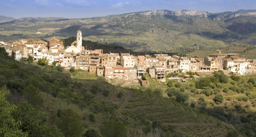 Terasovité vinice v oblasti Priorat